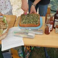 Wild- und Heilkr�uterwanderung mit Michaela Berthold-Sieber am 12.07.2026