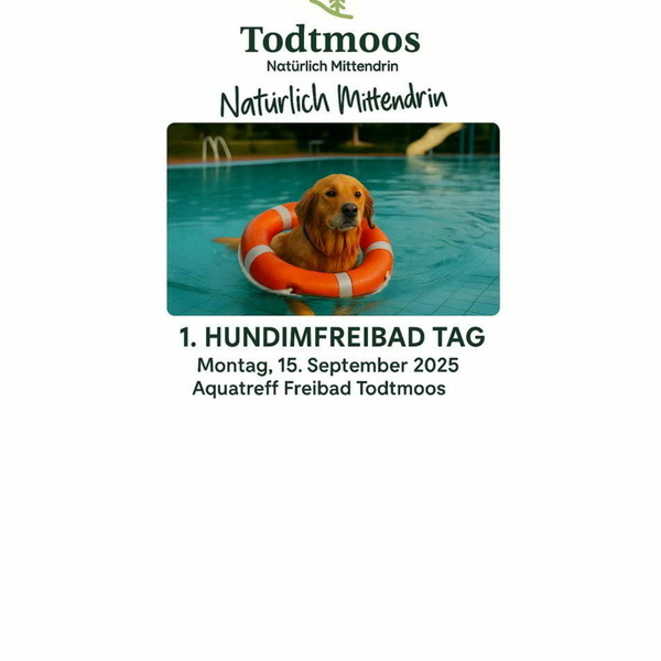Hundeschwimmen