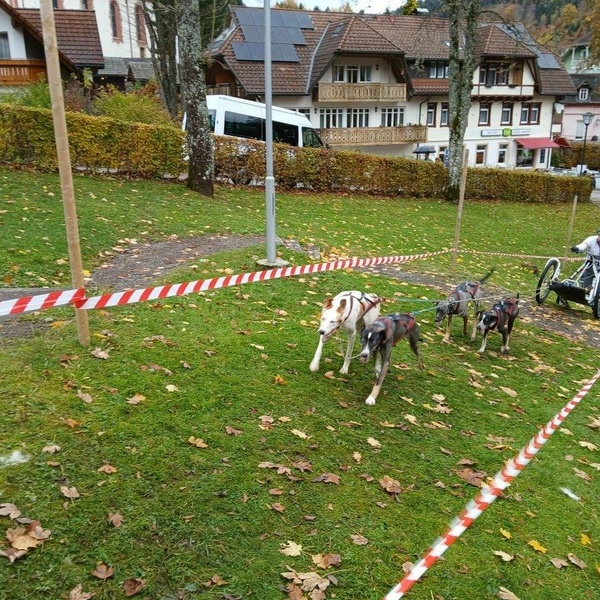 Der dritte  „Waldhaus Wehra Trail“ in Todtmoos Der dritte  „Waldhaus Wehra Trail“ in Todtmoos