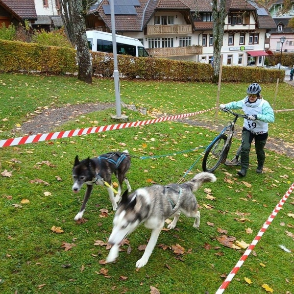 Der dritte  „Waldhaus Wehra Trail“ in Todtmoos Der dritte  „Waldhaus Wehra Trail“ in Todtmoos
