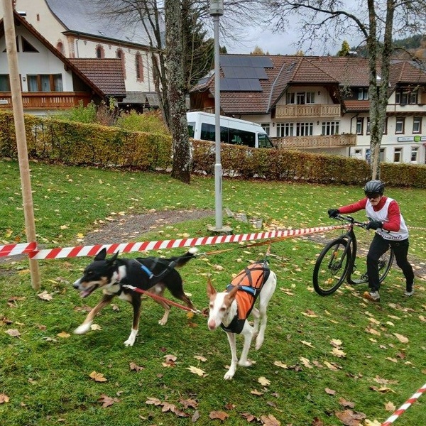 Der dritte  „Waldhaus Wehra Trail“ in Todtmoos Der dritte  „Waldhaus Wehra Trail“ in Todtmoos