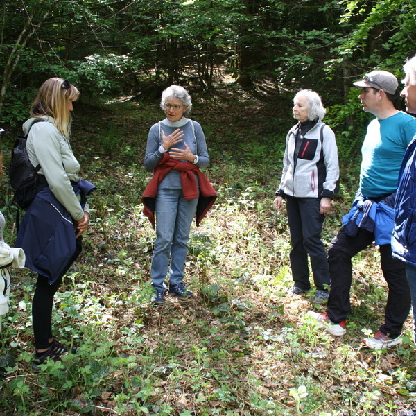 Elisabeth Sellin erkl�rt das Waldbaden 