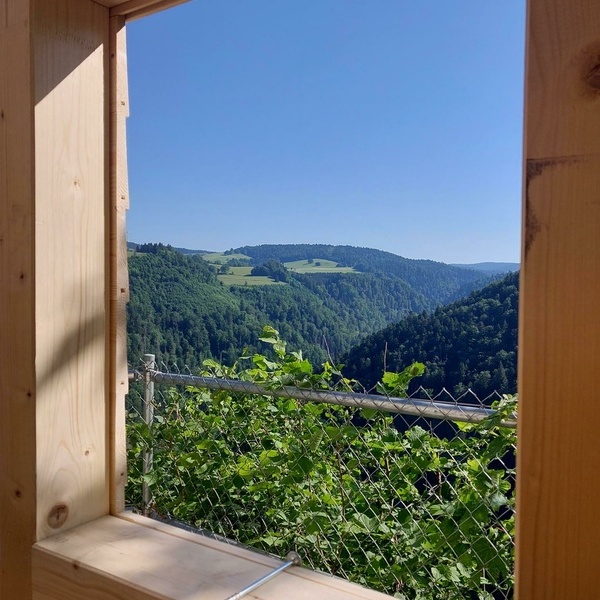 ForstBW Felsenh�tte Aussicht